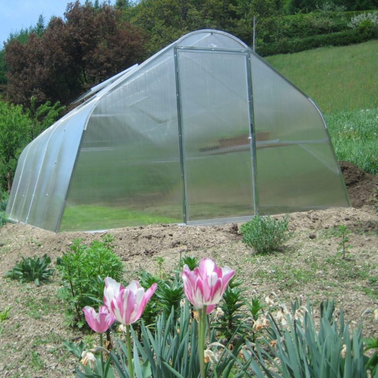 Gewächshaus mit Polycarbonat-Stegplatten