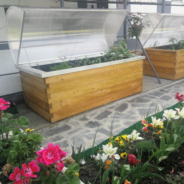 Frühbeet mit Polycarbonatabdeckung